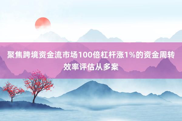 聚焦跨境资金流市场100倍杠杆涨1%的资金周转效率评估从多案