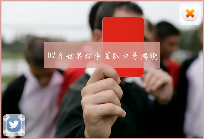 02年世界杯中国队口号揭晓