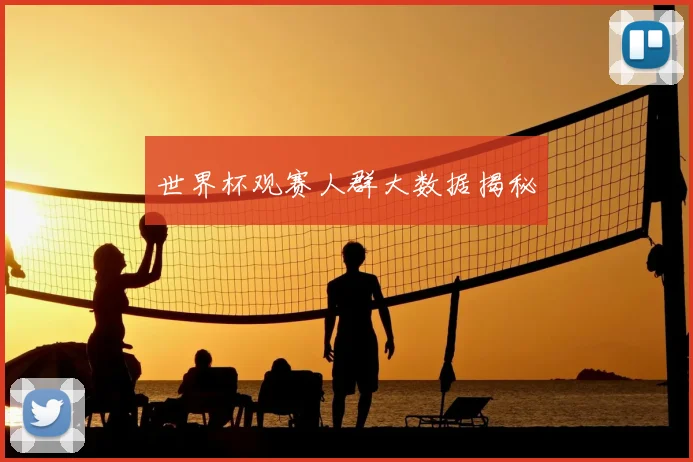 世界杯观赛人群大数据揭秘