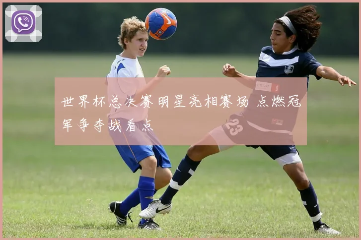 世界杯总决赛明星亮相赛场 点燃冠军争夺战看点