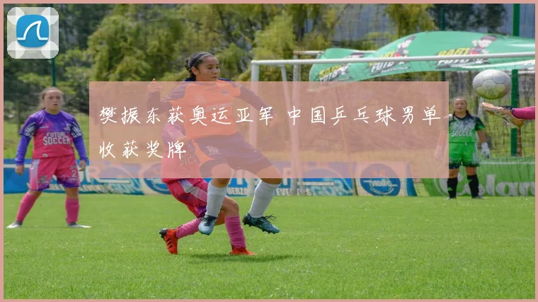 樊振东获奥运亚军 中国乒乓球男单收获奖牌