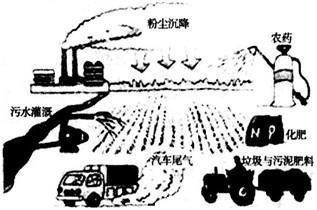 我国土壤污染总体形势相当严峻,土壤深度酸化、盐渍化,砷、汞、铅、镉等重金属含量较大,农药等有机_360问答